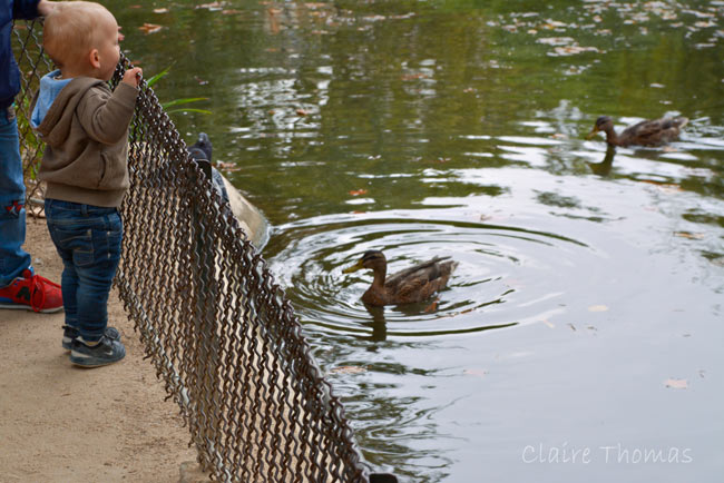 Paris Parc Monceau child feeding duck