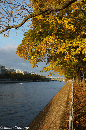Paris in Fall