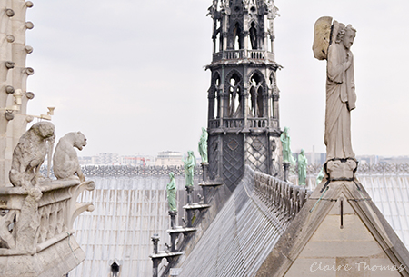 Notre Dame top