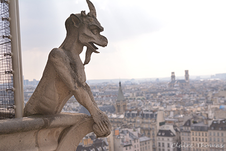 Notre Dame views
